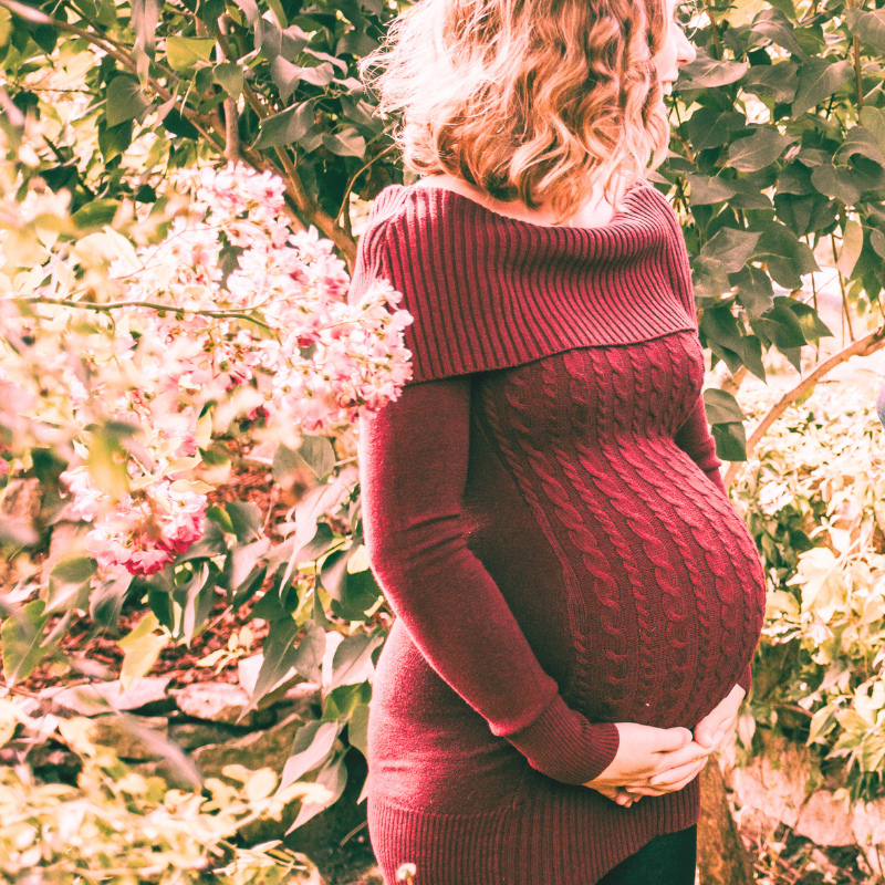 Mother’s Blessing – schwangere Frau inmitten von Blüten und Grün